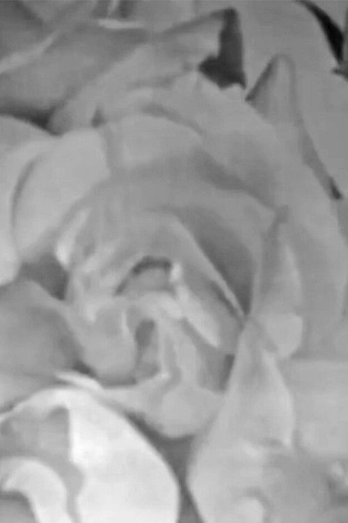 Roses in Full Colour (2021) poster