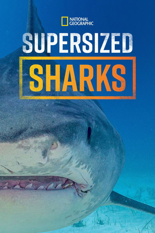 Supersized Sharks (2024) poster