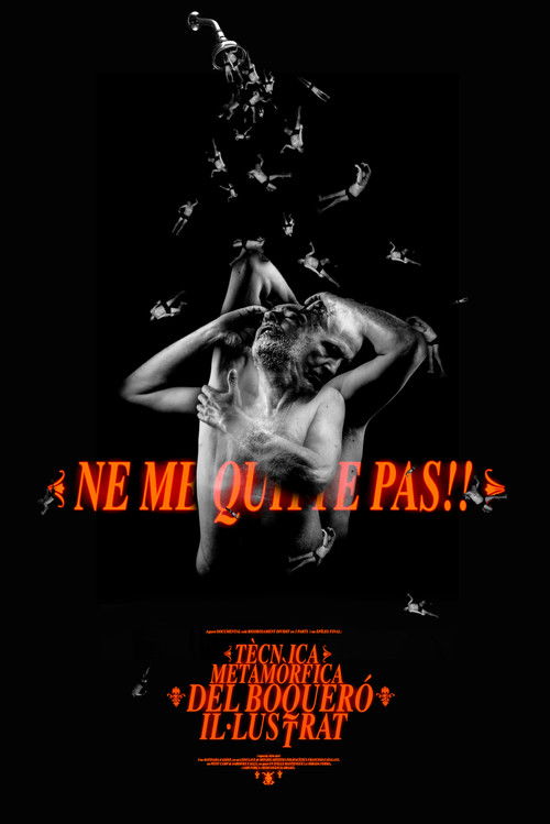 Tècnica Metamòrfica del Boqueró Il·lustrat (2023) poster