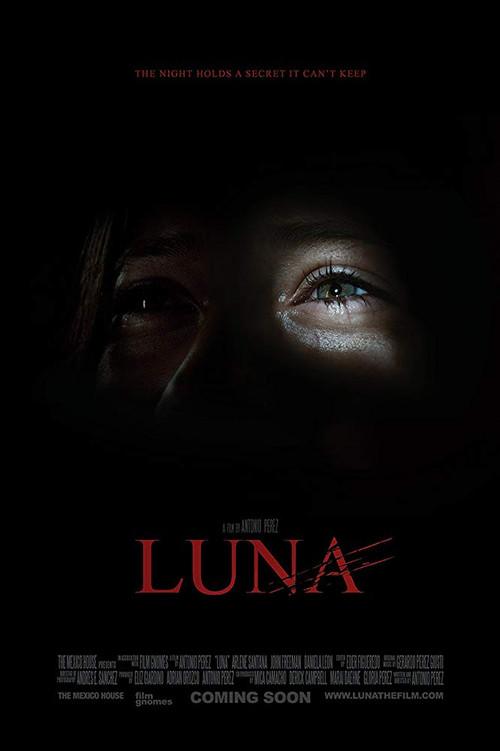 Luna (2013) poster