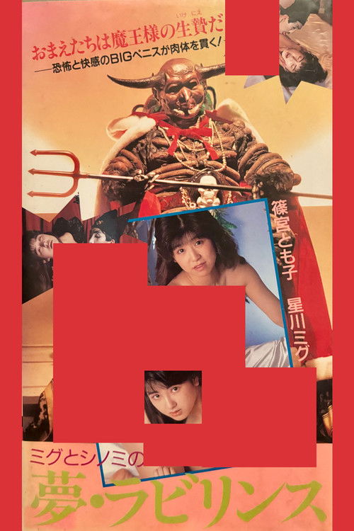 篠宮とも子＆星川ミグ　夢・ラビリンス (1988) poster