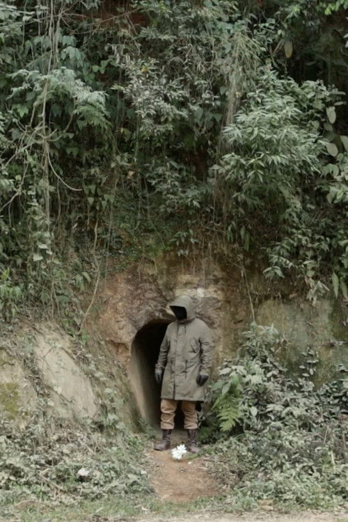 Alameda das Acácias poster