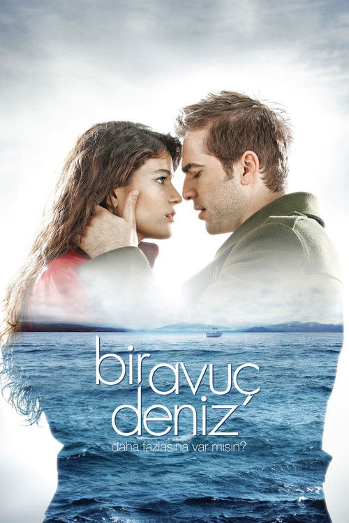 Bir Avuç Deniz (2011) poster