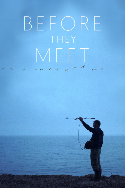 Before They Meet (2021) poster