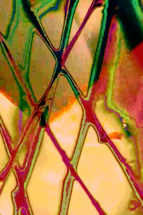 Anger Management (2025) poster