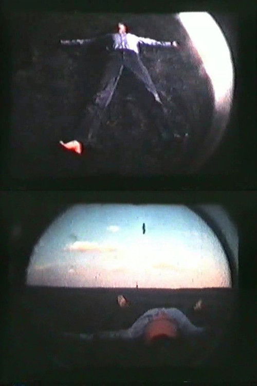 Homme centre l'univers (1978) poster