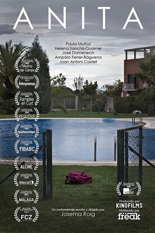 Anita (2013) poster
