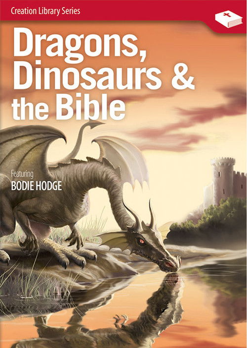 Dragons, Dinosaurs & the Bible (2014) poster