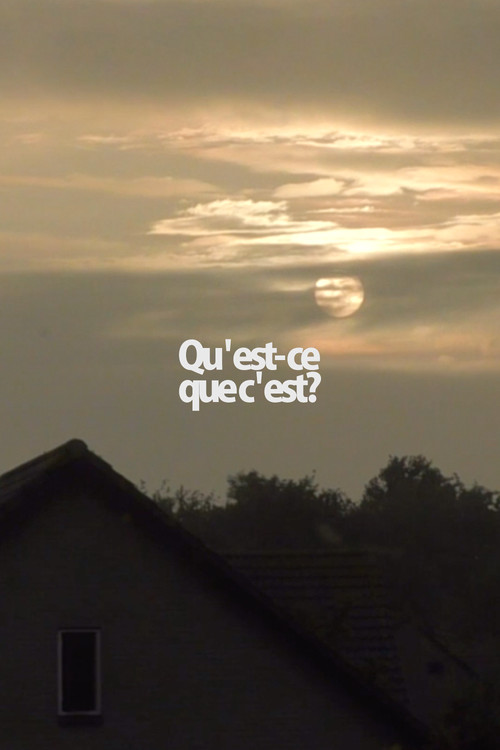 Qu'est-ce que c'est? (2016) poster