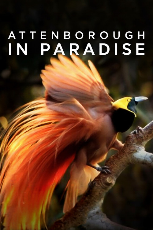 Attenborough in Paradise (1996) poster
