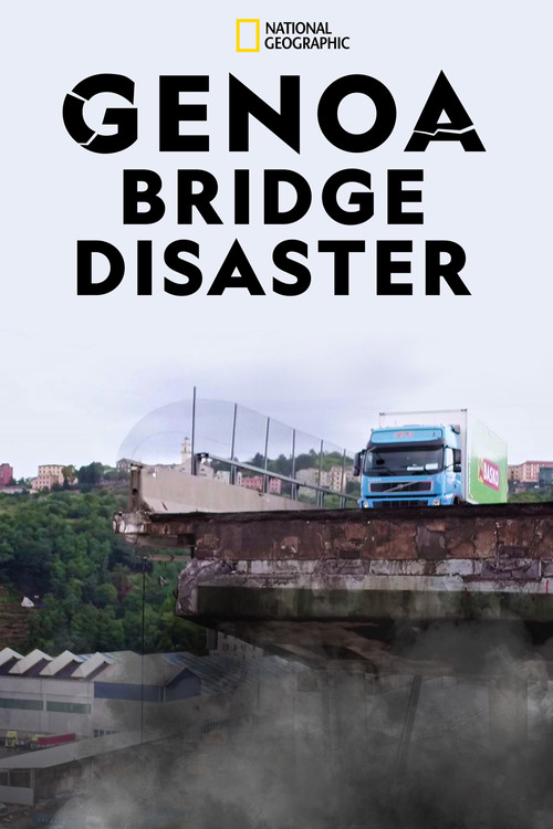 Genoa Bridge Disaster (2019) poster