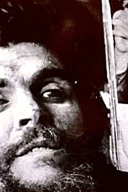 World in Action: End of a Revolution (1967) poster