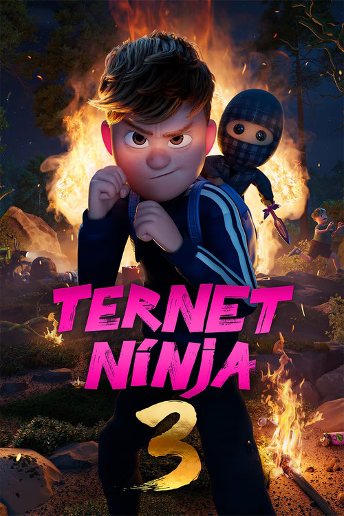 Ternet Ninja 3 (2026) poster