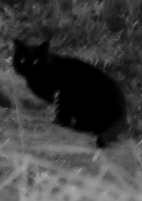 That's Not Me (2023) poster