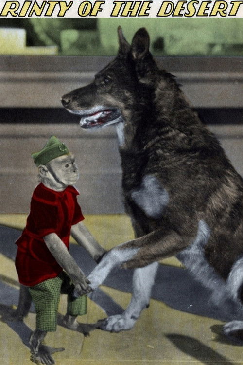 Rinty of the Desert (1928) poster