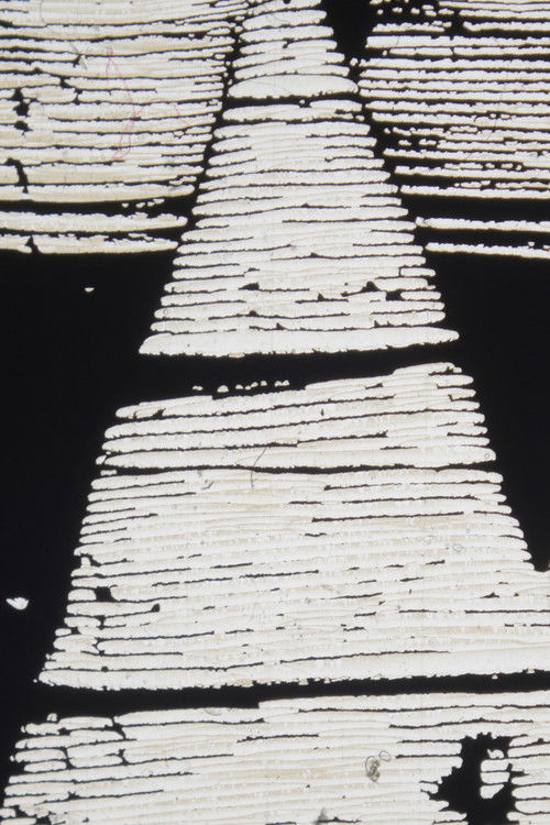 In Film/On Video (2018) poster