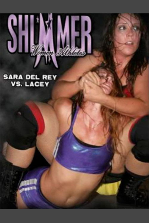 SHIMMER Volume 14: Hot Summer Nights (2007) poster
