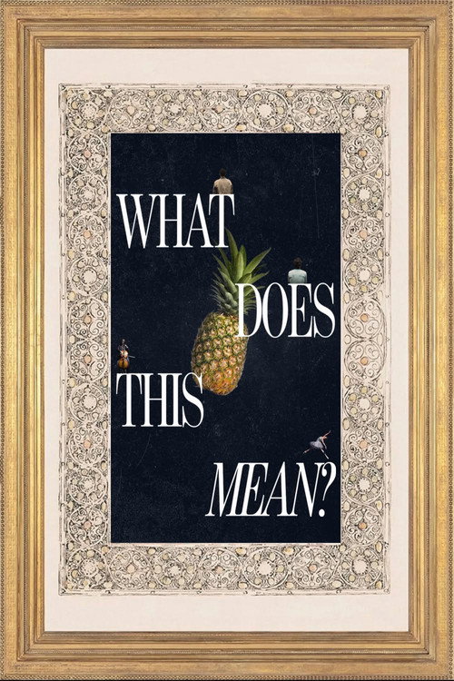 What Does This Mean? (2026) poster