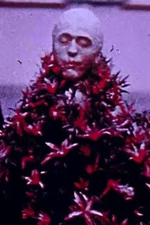 Images du carnaval de Bâle (1973) poster