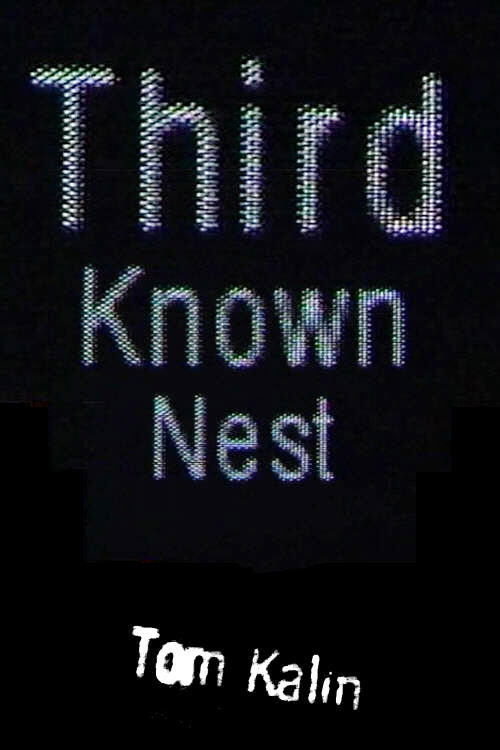 Third Known Nest (1999) poster