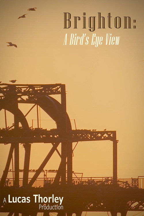 Brighton: A Bird's Eye View (2023) poster