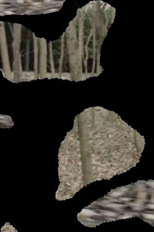 Orchard-Market (2016) poster