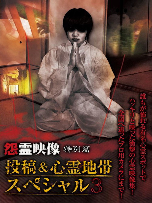 Grudge Spirit Footage Special Edition: Posted & Haunted Area Special 3 (2013) poster