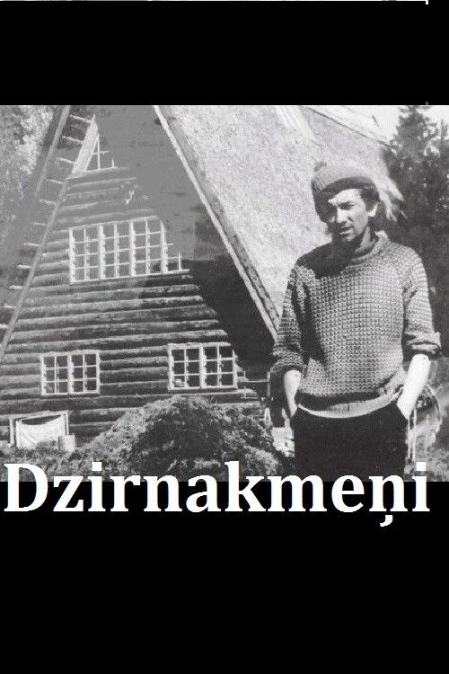 Dzirnakmeņi (2015) poster
