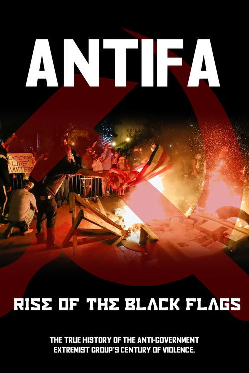 Antifa:  Rise of the Black Flags (2020) poster