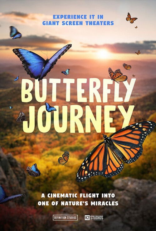 Butterfly Journey (2024) poster