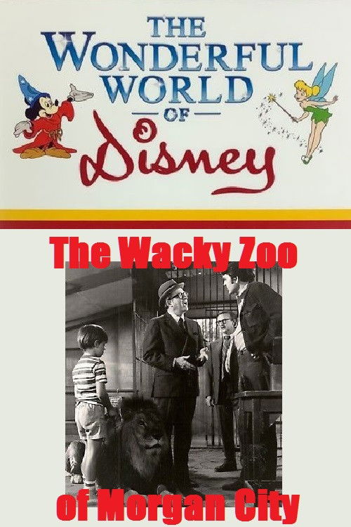 The Wacky Zoo of Morgan City (1970) poster