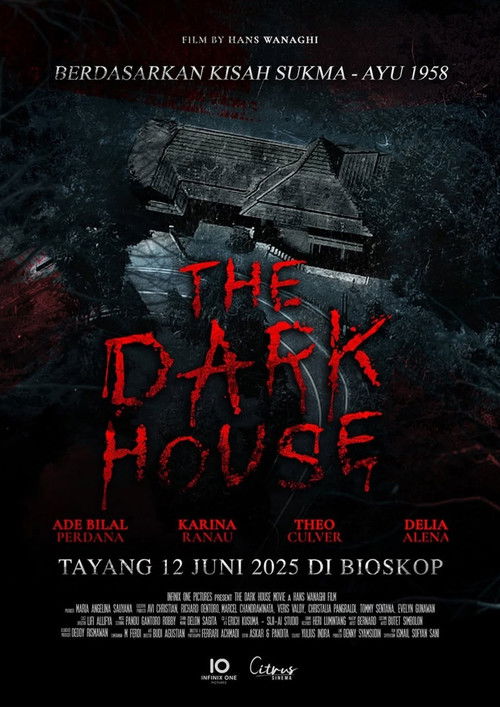 The Dark House (2025) poster