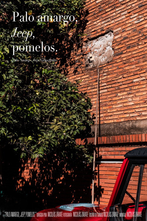 Palo Amargo, Jeep, Grapefruits (2020) poster