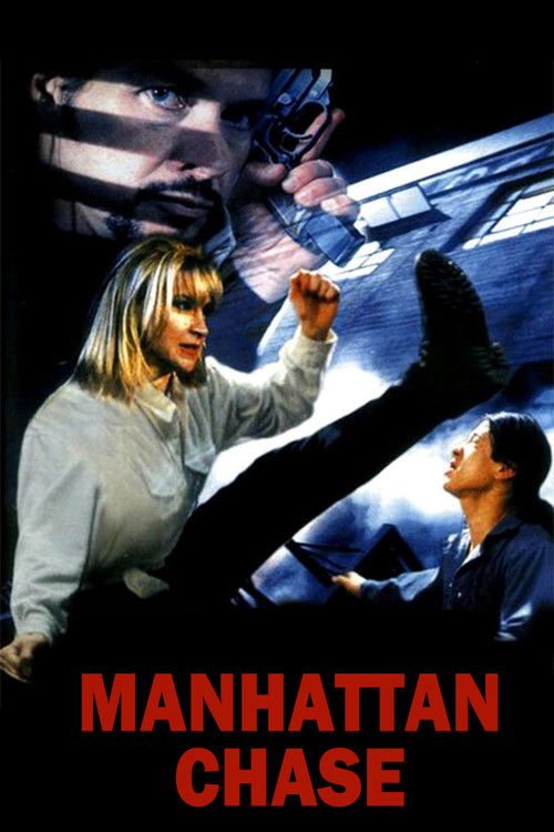 Manhattan Hesaplaşması (2000) poster