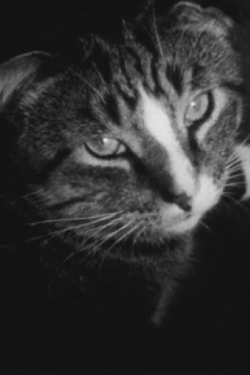 Cheryl (2012) poster