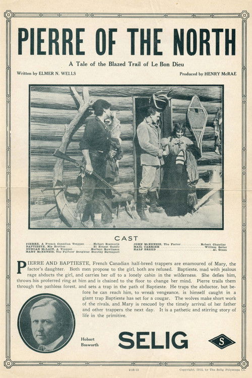 Pierre of the North (1913) poster
