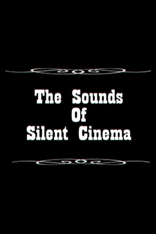 Sounds of Silent Cinema (2007) poster