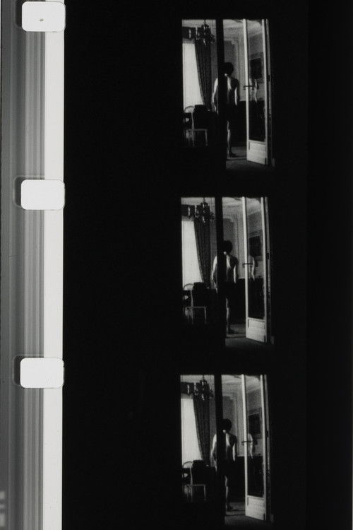 Autoportrait en blanc et en noir (1977) poster