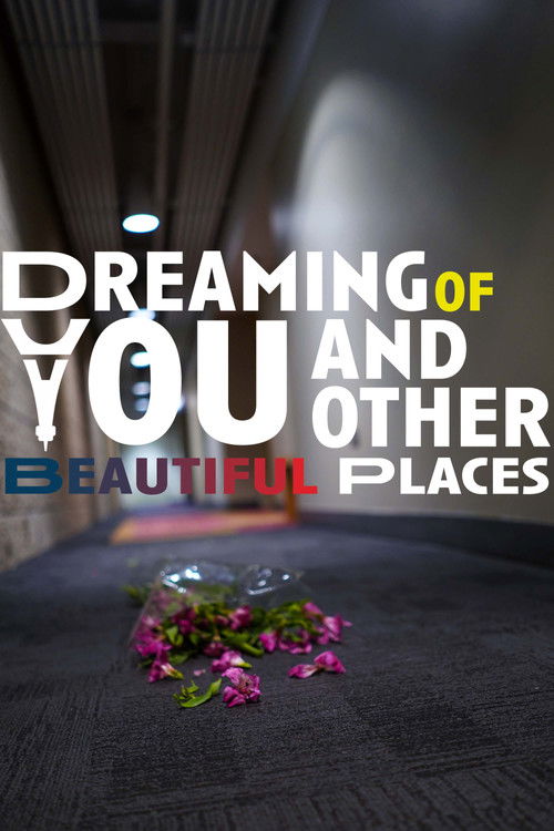 Dreaming of You and Other Beautiful Places poster