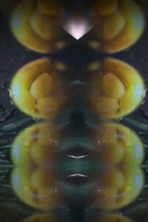 Howe Are You Island ? (2022) poster