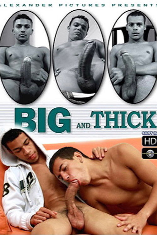 Big and Thick (2013) poster