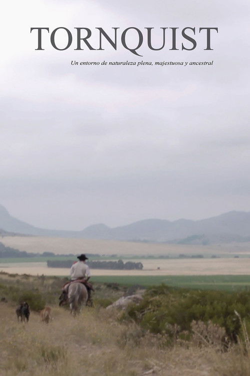 Tornquist (2021) poster