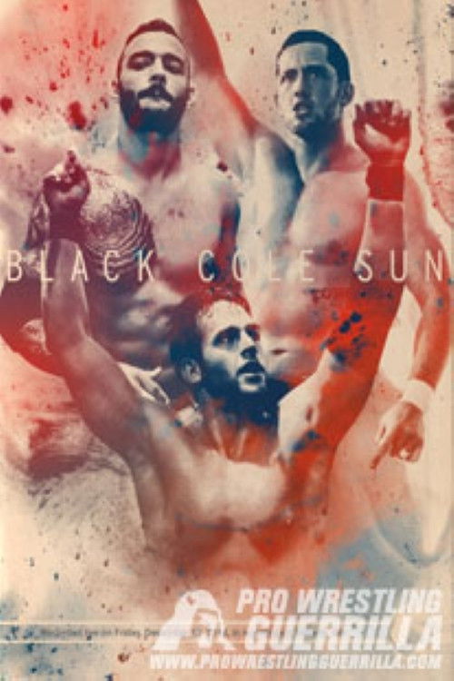 PWG: Black Cole Sun (2014) poster
