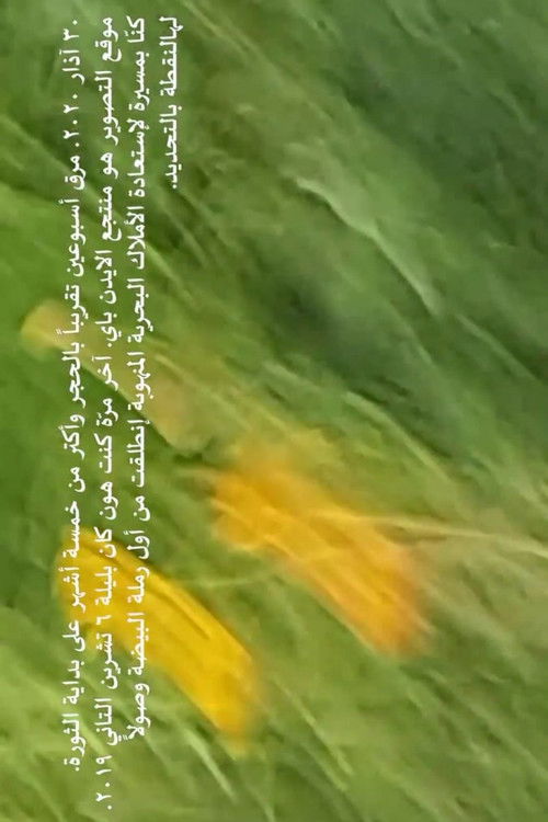 I was grateful the wind tore out my camera’s microphone (2020) poster