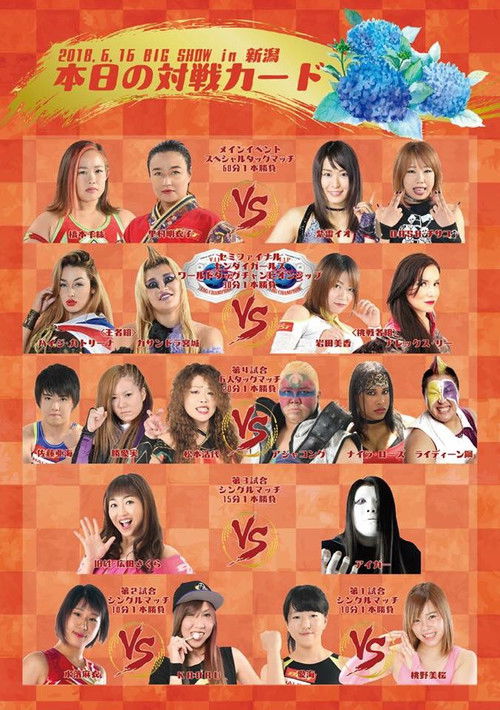Sendai Girls Joshi Puroresu Big Show 2018 In Niigata (2018) poster