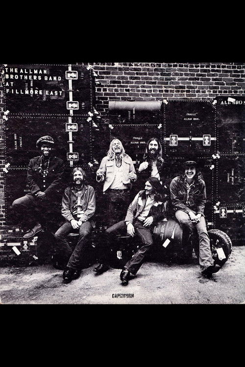 The Allman Brothers Band - The 1971 Fillmore East Recordings (2014) poster