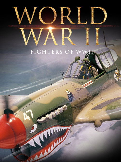 Fighters of WWII (2001) poster