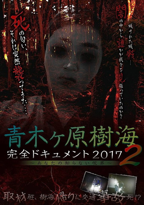 Aokigahara Jukai: Complete Document 2017 - The Curse You Don't Know 2 (2017) poster