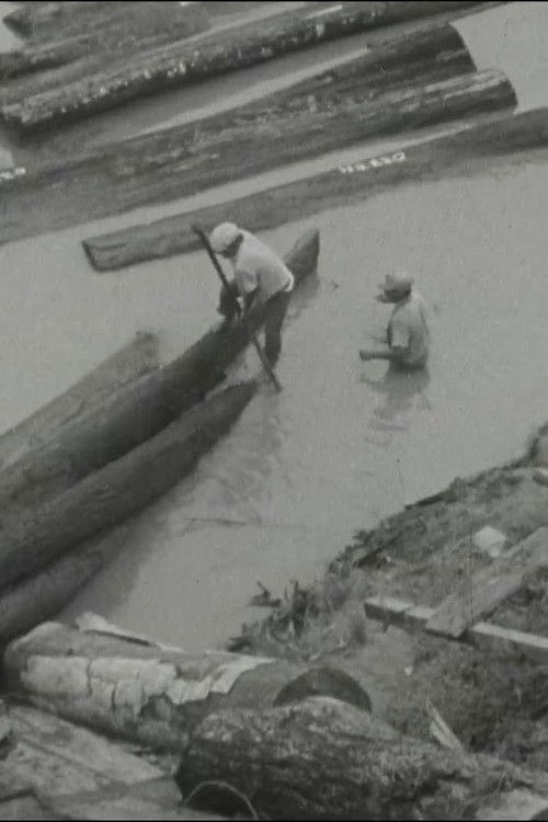 Visión de la selva (1973) poster