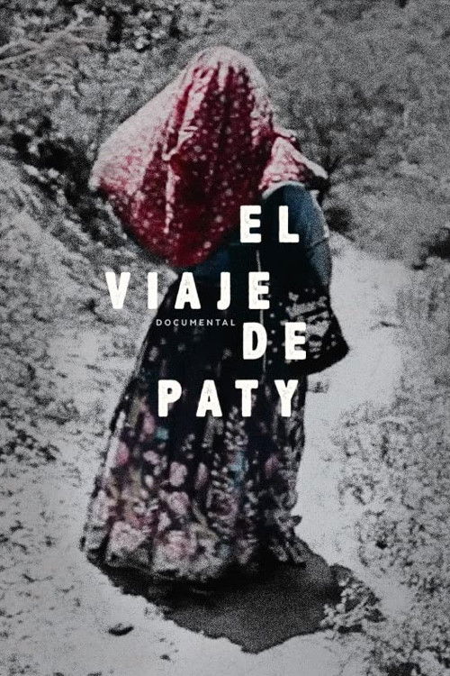 Paty's Journey (2021) poster